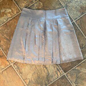 Victor Silver Skirt